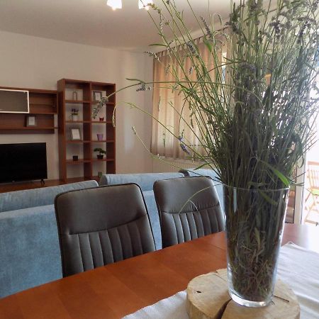 Apartman Borna 비르브닉 외부 사진